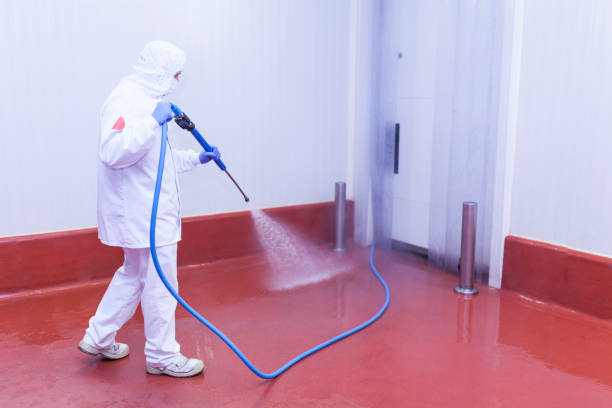 Best Factory Floor Cleaning  in Belington, WV