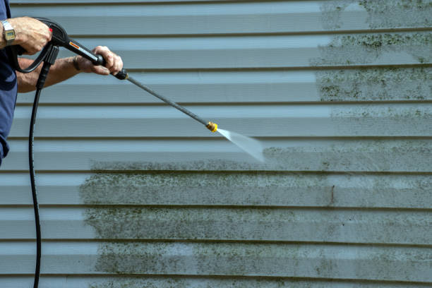 Best House Exterior Washing  in Belington, WV